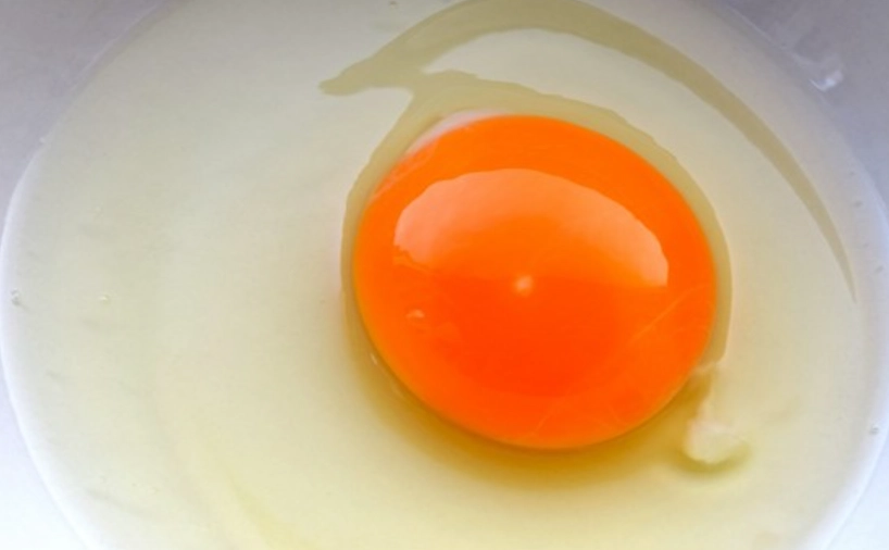 蛋白質變性應用