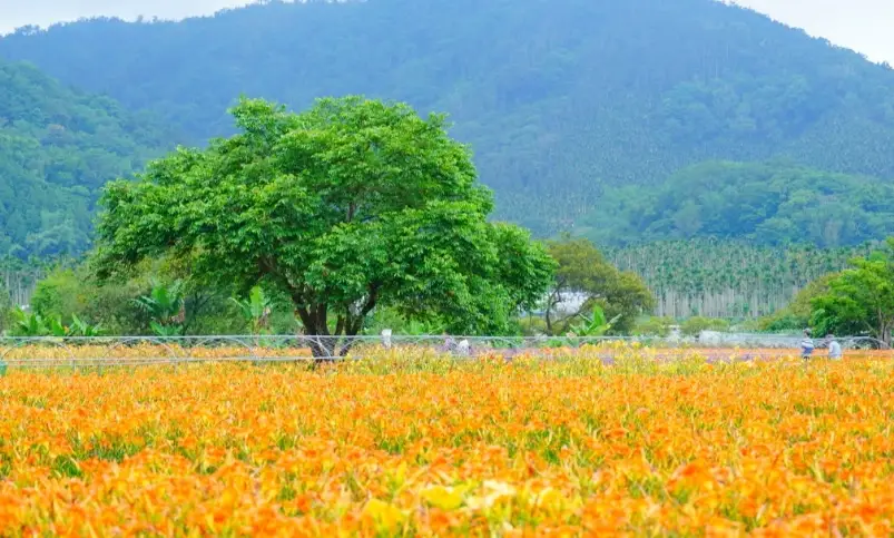 日月潭包棟民宿