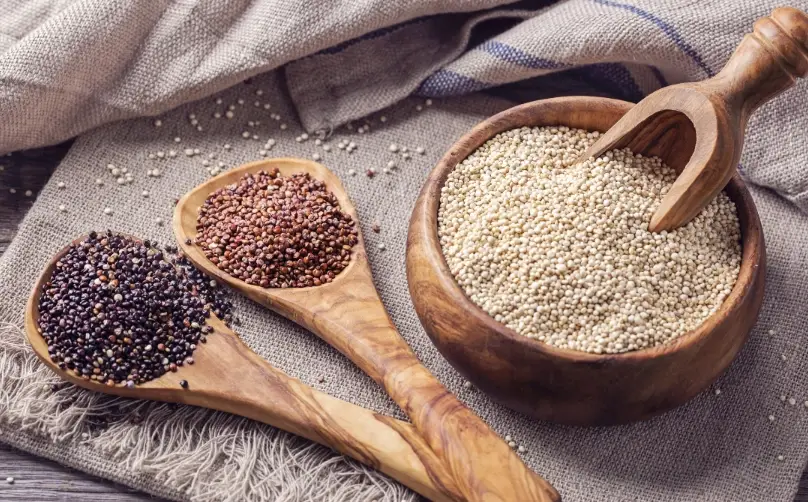 藜麥食譜