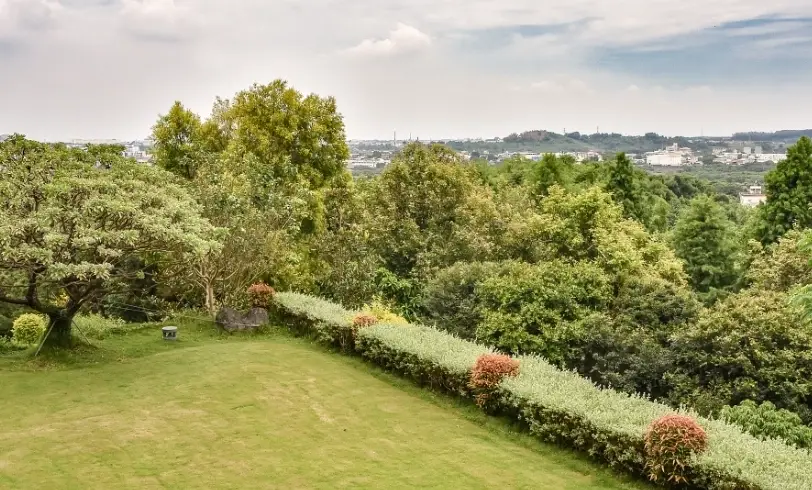 阿里山咖啡廳 阿里山咖啡廳