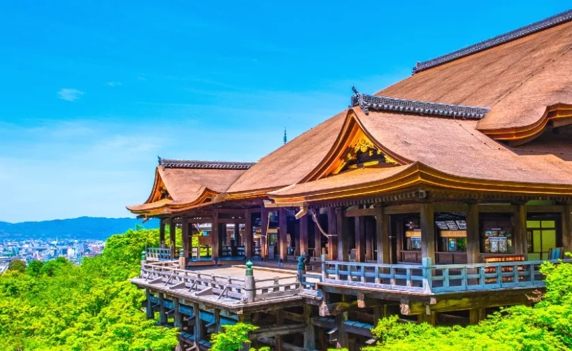 和歌山去京都攻略