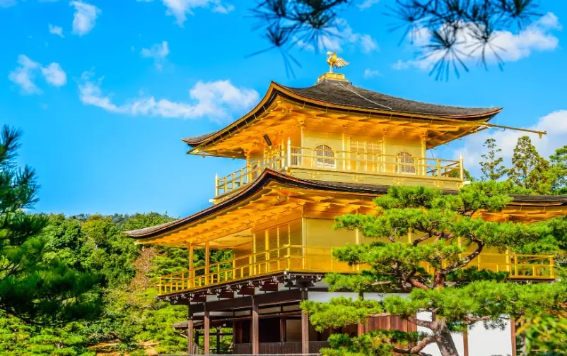 和歌山到京都交通