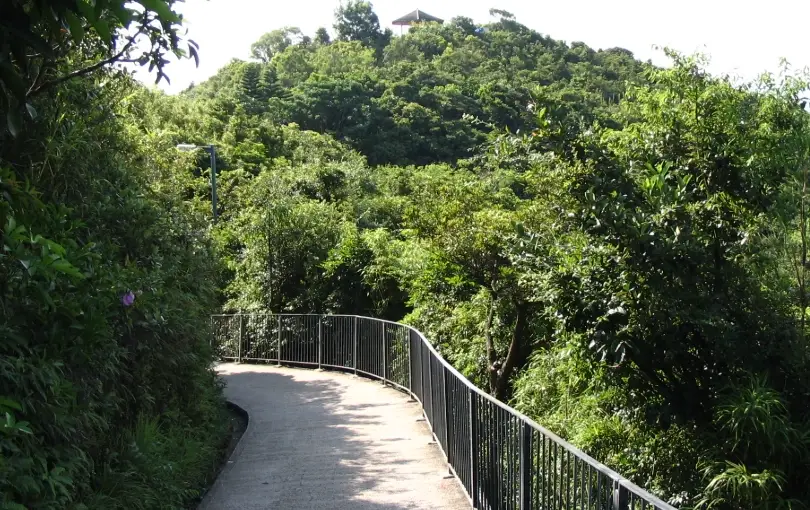 西營盤到山頂 交通