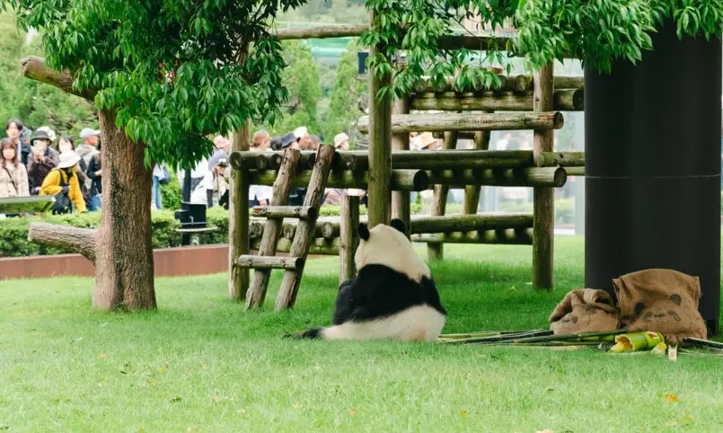 冒險大世界 攻略 冒險大世界 攻略