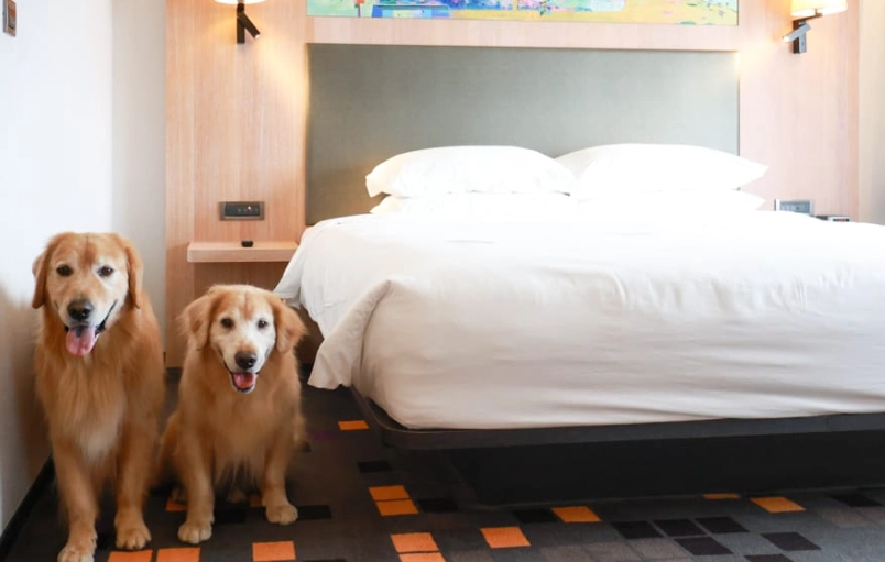 北投寵物友善溫泉飯店