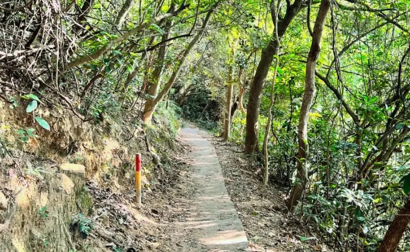 西營盤行上山頂 路線