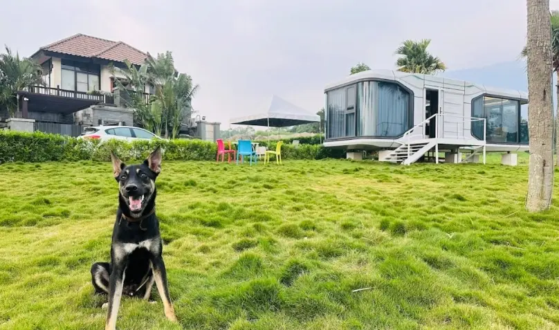 台中寵物友善民宿