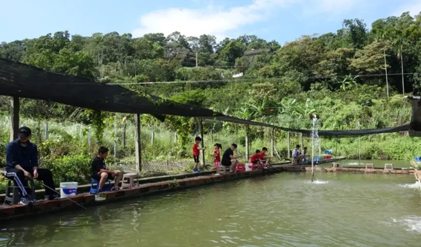農場釣魚體驗