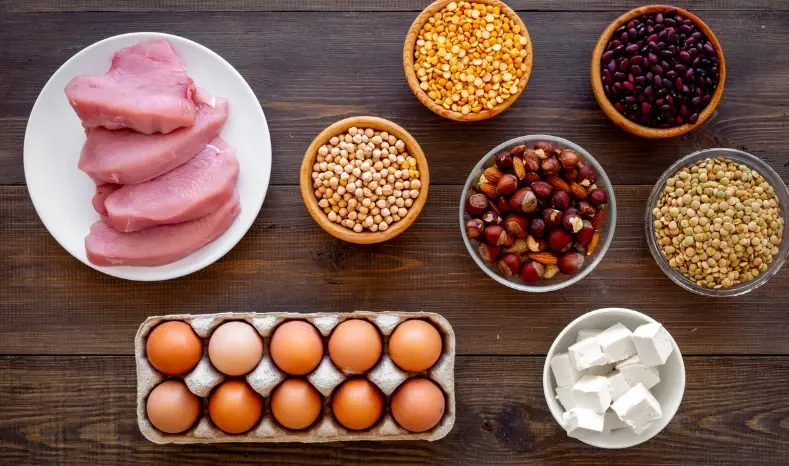 蛋白質吸收方法