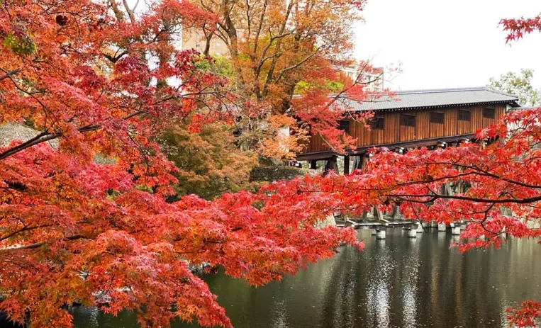 和歌山城秋季觀光