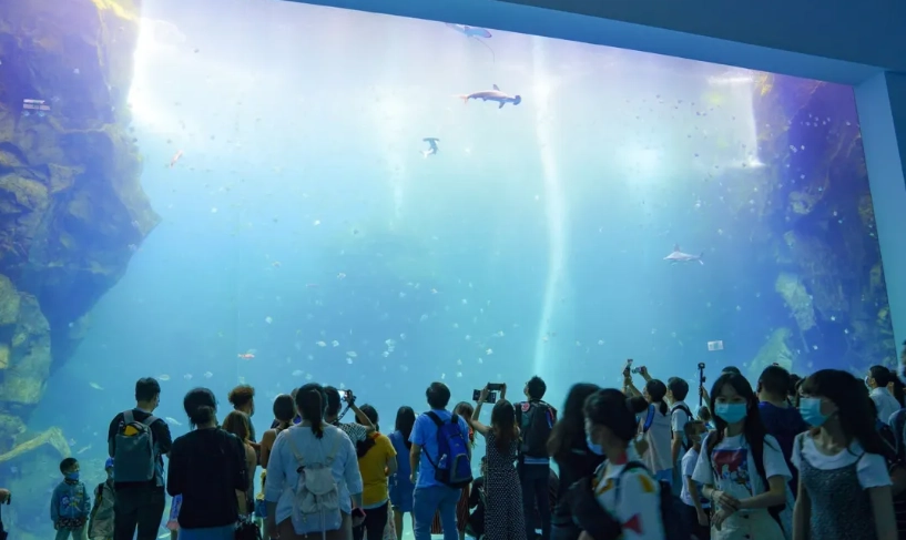 桃園一日遊行程