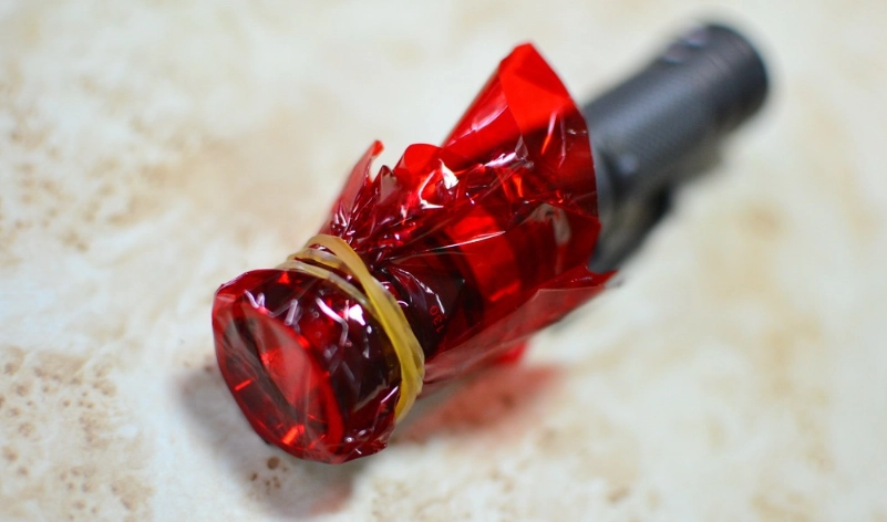 螢火蟲觀賞指南