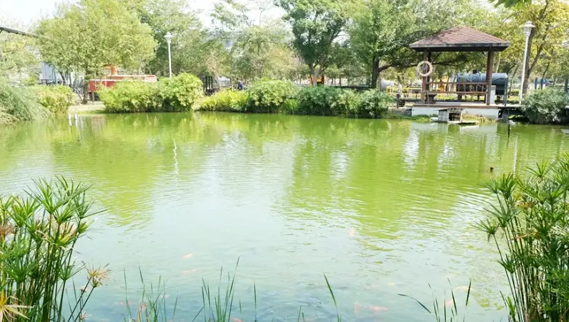 彰化一日遊行程