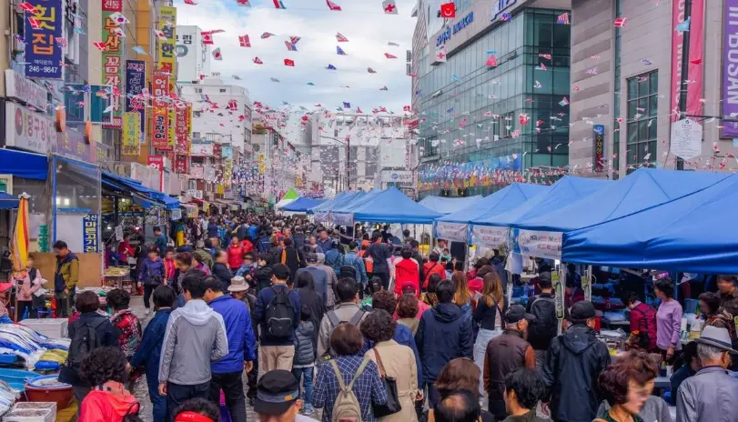 釜山冬柏島燈節