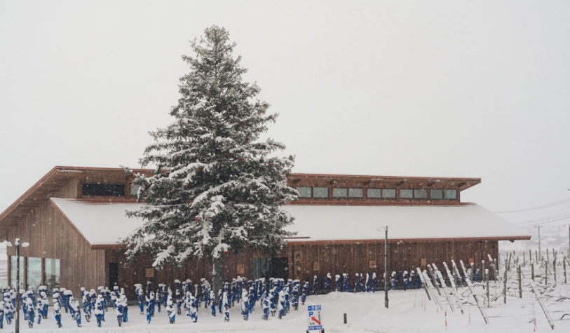 北海道冬天自由行