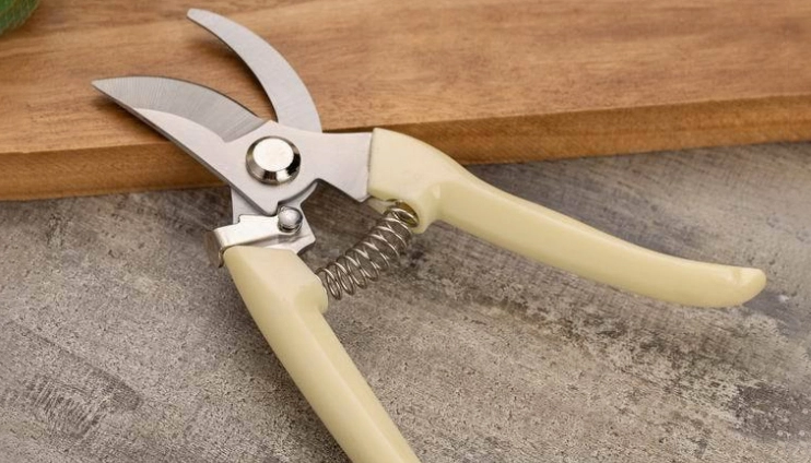 盆栽矮化技術 盆栽矮化技術