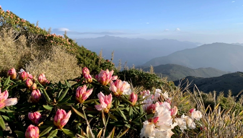 合歡群峰單攻全攻略：一日挑戰四座百岳的體能與路線解析