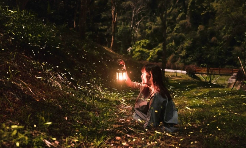 螢火蟲觀賞準備