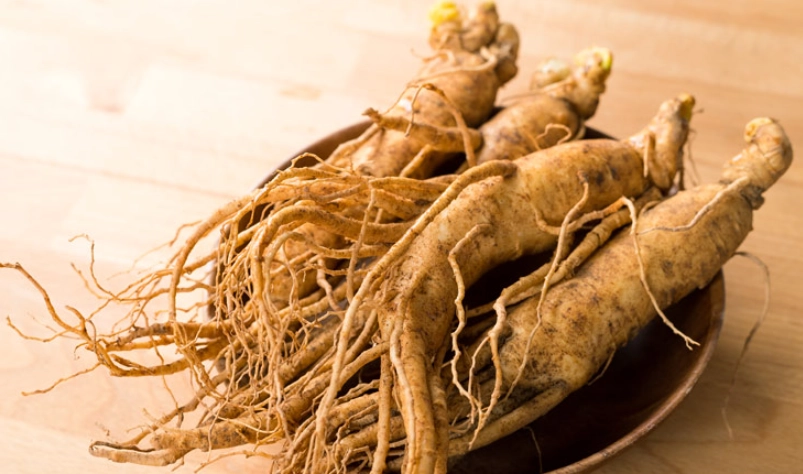 人蔘 胃食道逆流 人蔘 胃食道逆流