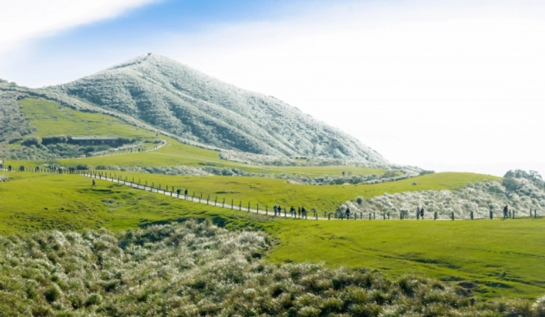 台北不塞车旅游