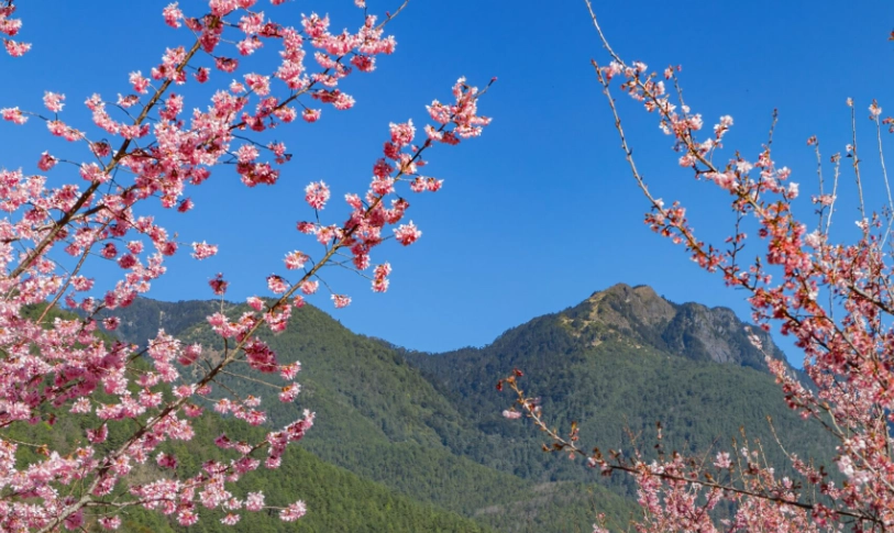 新北不塞车一日游