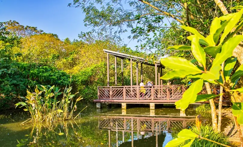 桃園一日遊行程