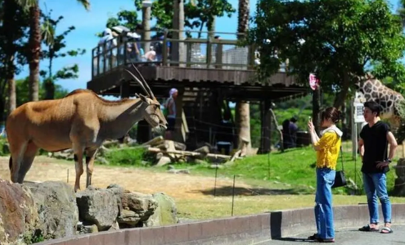 大阪到和歌山巴士