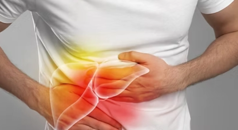 脂肪肝指數2.5 脂肪肝指數2.5