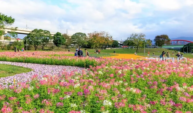 北部不塞车景点