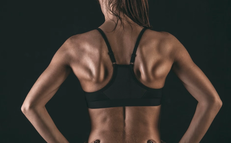 背部訓練 背部訓練