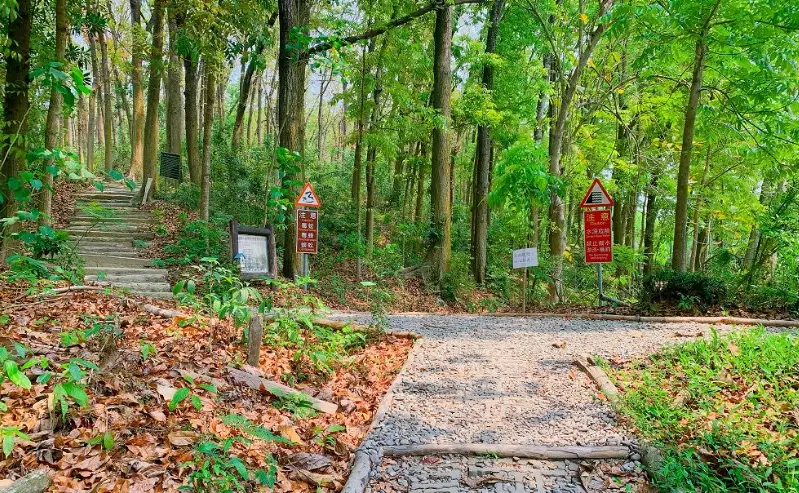 高雄爬山入門 高雄爬山入門