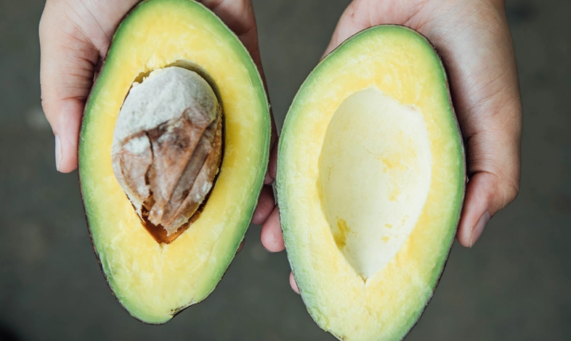 酪梨保存 酪梨保存