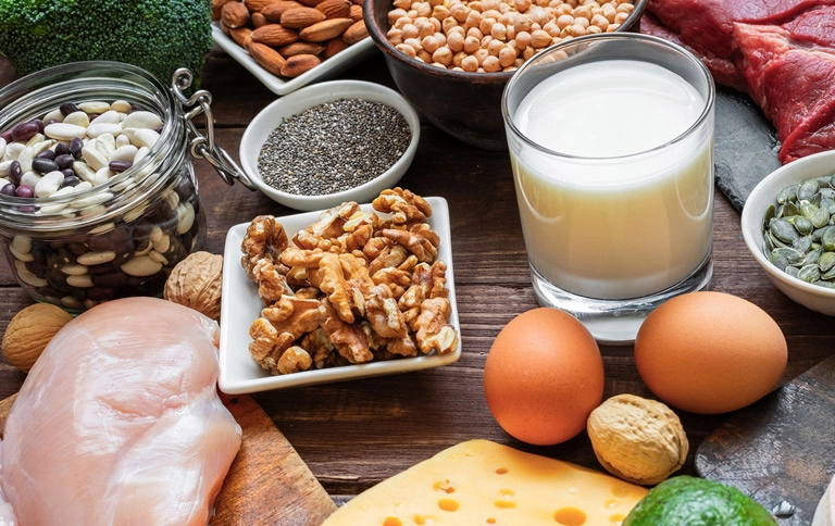 植物蛋白質來源 植物蛋白質來源