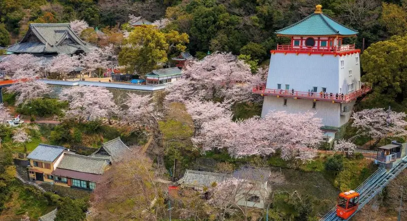 和歌山景點