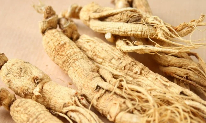 高麗蔘禁忌