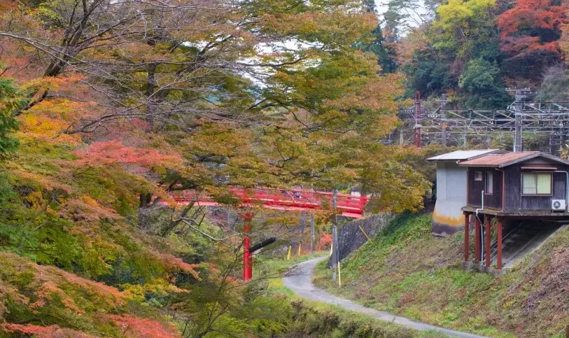和歌山一日遊