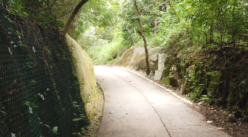 薄扶林水塘行山