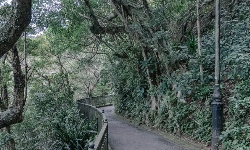 香港大學行山路線