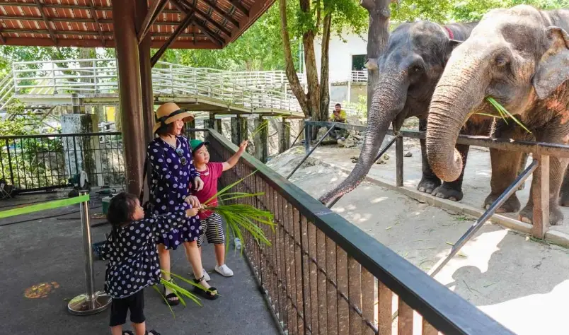 和歌山動物園 必看