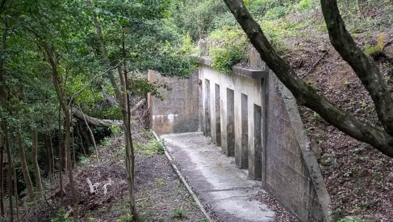 龍虎山郊野公園
