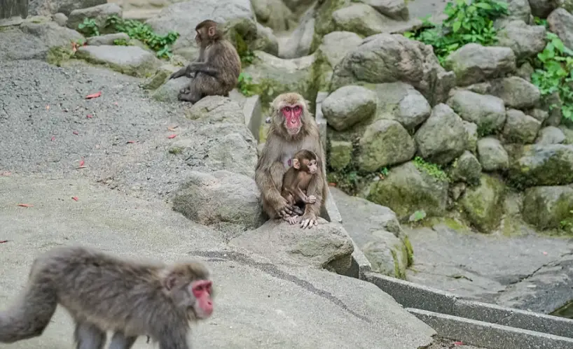 和歌山動物園 交通
