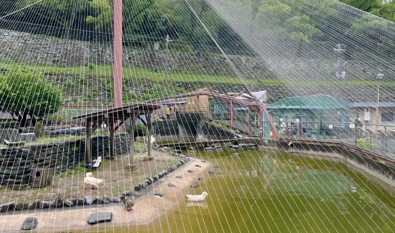 和歌山動物園 必看