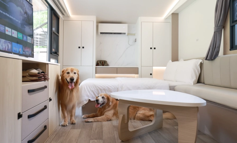 野柳寵物友善民宿