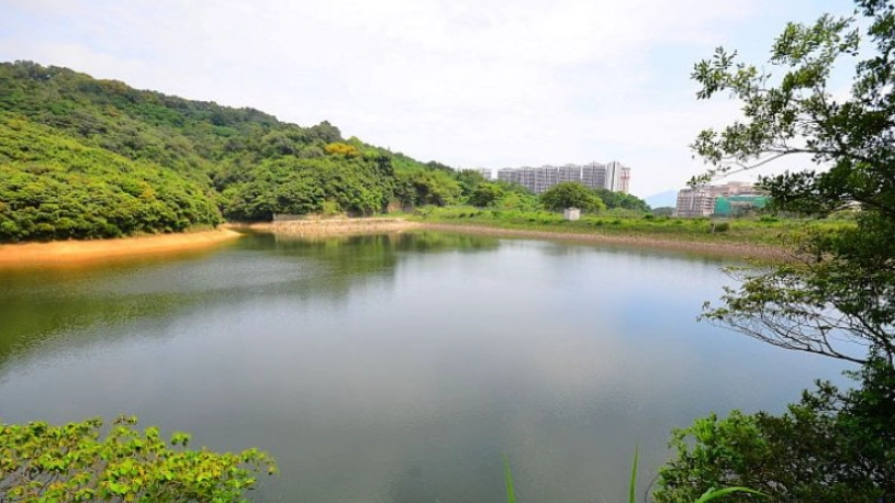 薄扶林水塘道 路線