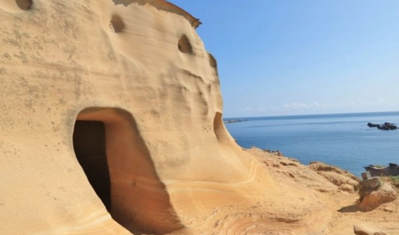 野柳寵物友善飯店