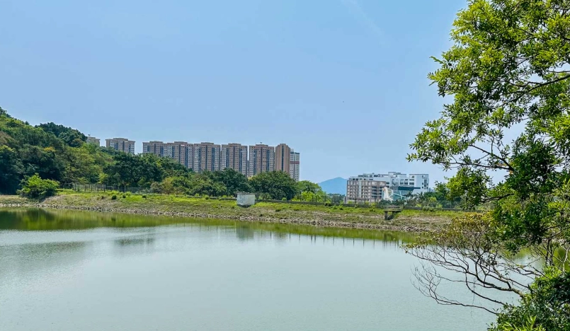 薄扶林水塘 歷史