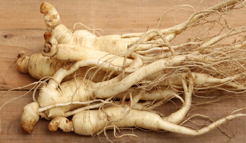 人參雞湯做法 人參雞湯做法