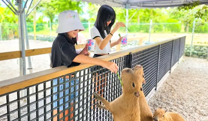 休閒農場親子遊