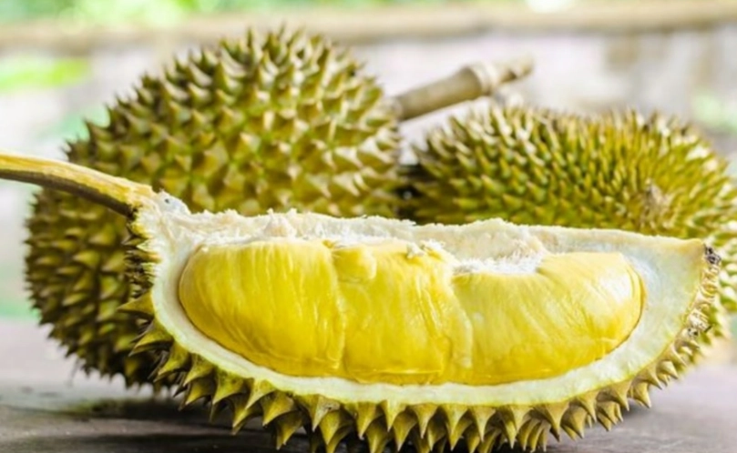 酪梨不能和什麼一起吃 酪梨不能和什麼一起吃