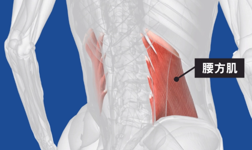 肌筋膜疼痛